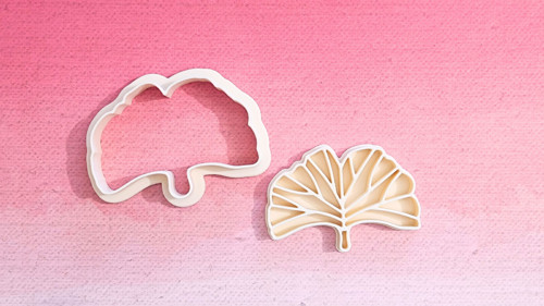 Ginkgo biloba list - set — foto 2