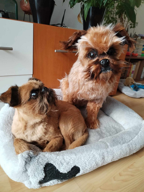 Přítel na přání:) — foto 6