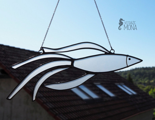 Ryba čirá 1 — foto 5