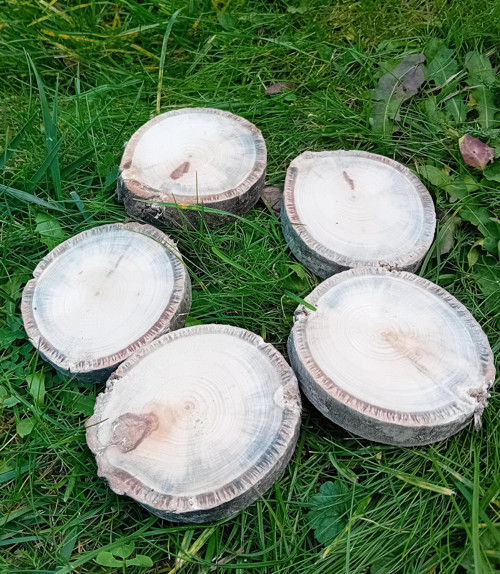Olšová kolečka 1 — foto 2