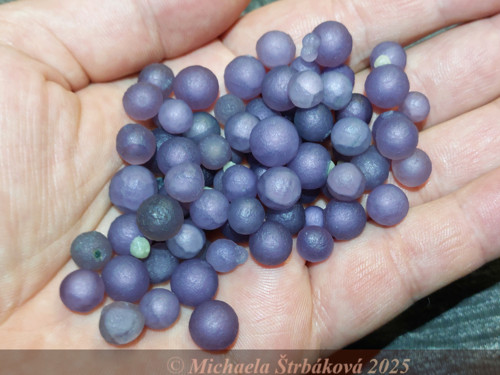 HROZNOVÝ CHALCEDON - sada šperků — foto 4