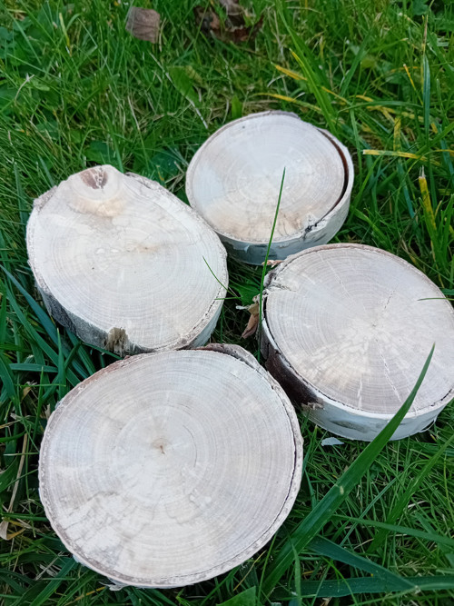 Břízová kolečka 1 — foto 2
