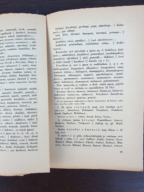 Stručná mluvnice česká — foto 2