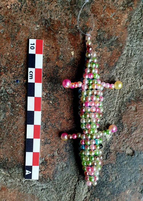 Duhový korálkový krokodýl — foto 2