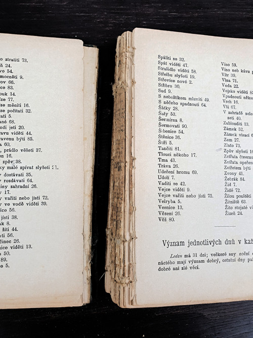 SNÁŘ - velký obrázkový — foto 2