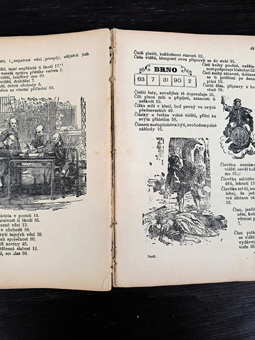 SNÁŘ - velký obrázkový — foto 3