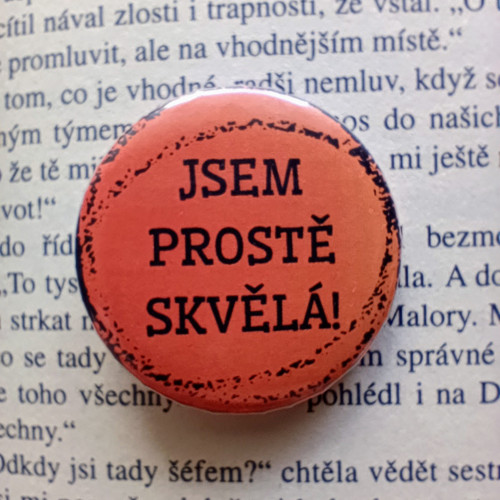 Placka Jsem prostě skvělá! — foto 3