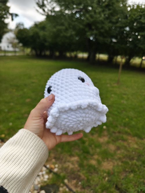 Háčkovaný duch — foto 3