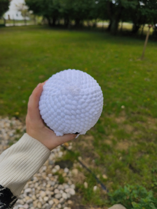 Háčkovaný duch — foto 4