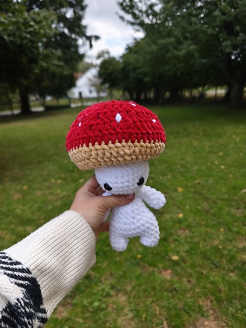 Háčkovaná muchomůrka — foto 4