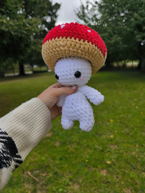 Háčkovaná muchomůrka — foto 3