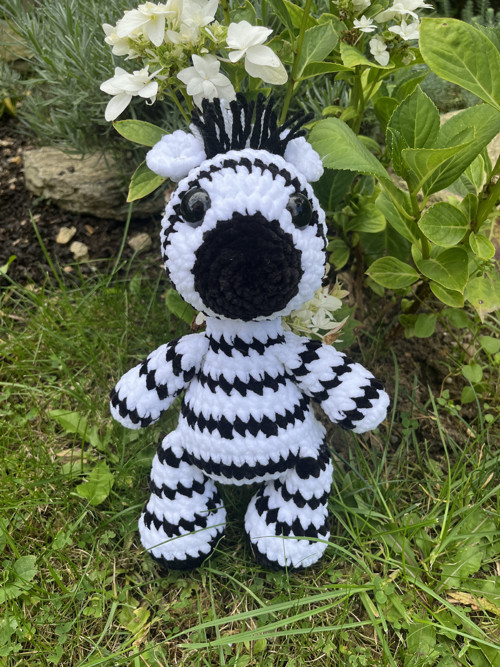 Háčkovaná zebra — foto 3