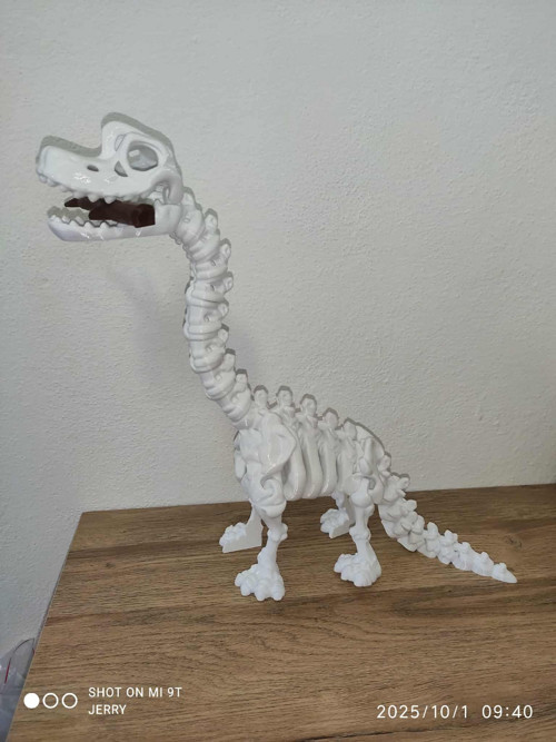 Kostra Brachiosaura - velká — foto 3