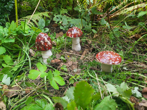 Muchomůrky — foto 3