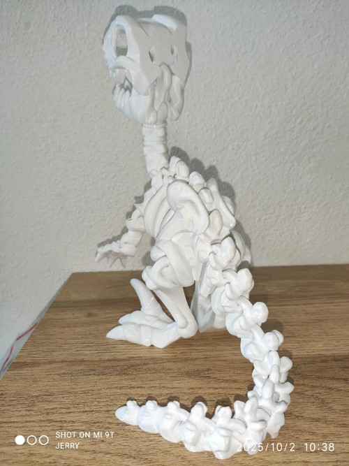 Kostra - Raptor - velký — foto 3