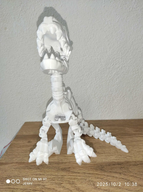 Kostra - Raptor - velký — foto 2