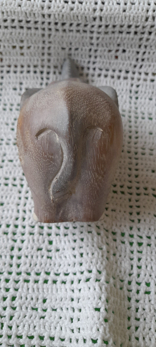 Slon — foto 2