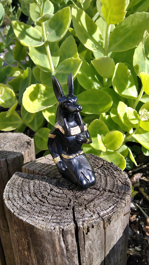 Anubis — foto 2