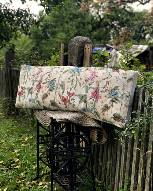 Sedák - botanika — foto 4