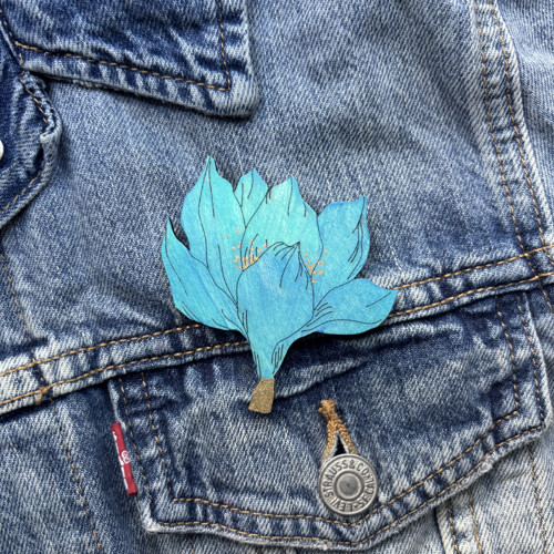 Magnolie — foto 2
