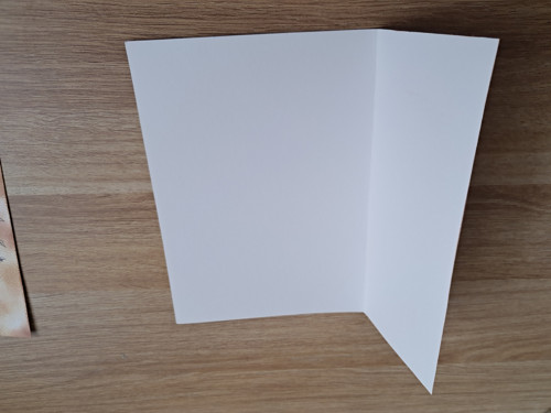 Přáníčko a visačka - cesmína — foto 2