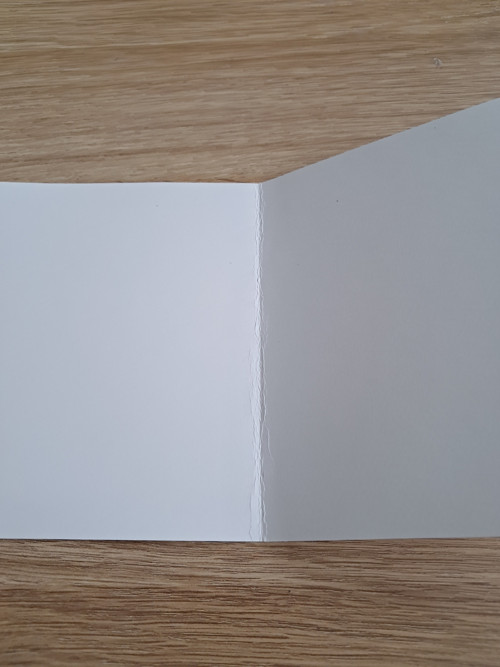 Vánoční přáníčko - cesmína a notičky — foto 3
