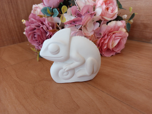 Chameleon k domalování 3D — foto 3