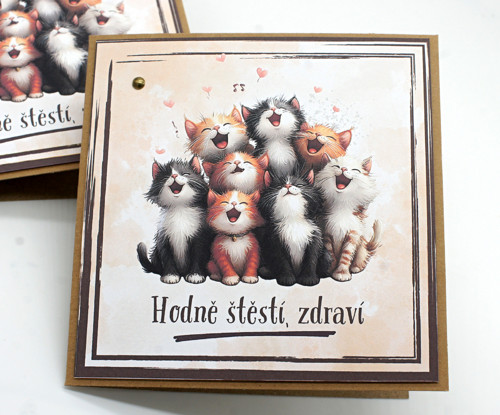 Kočičí přání — foto 2