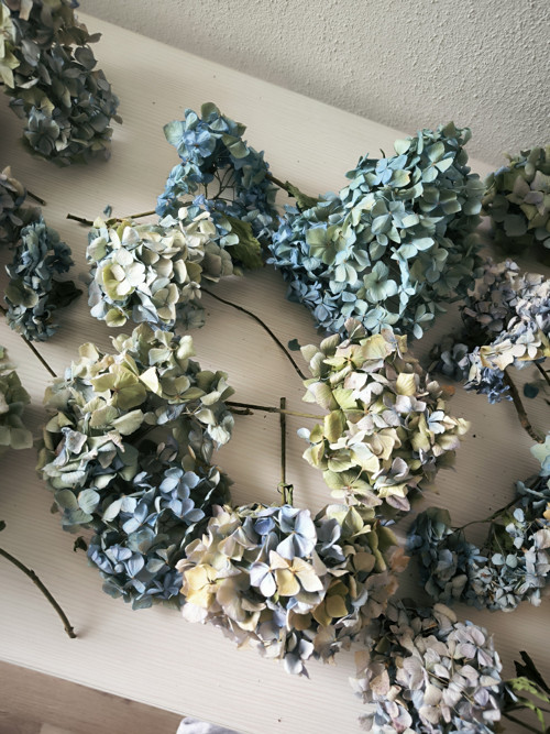 Hortenzie k dalšímu tvoření — foto 2