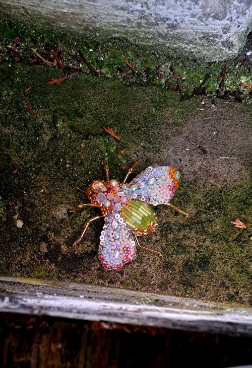 Brož - třpyt křídel - — foto 3
