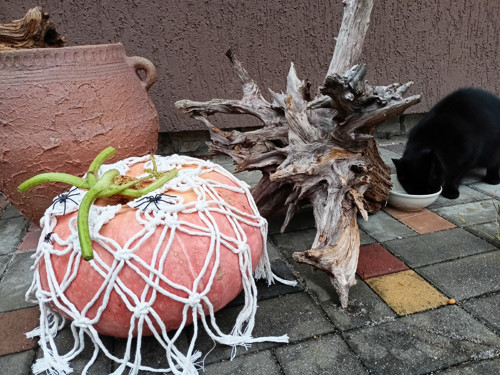 Podzimní ozdoba na dýni — foto 4