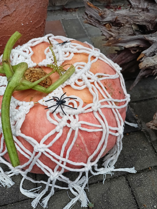 Podzimní ozdoba na dýni — foto 3