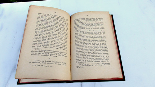 Nietzcheova filosofie — foto 5