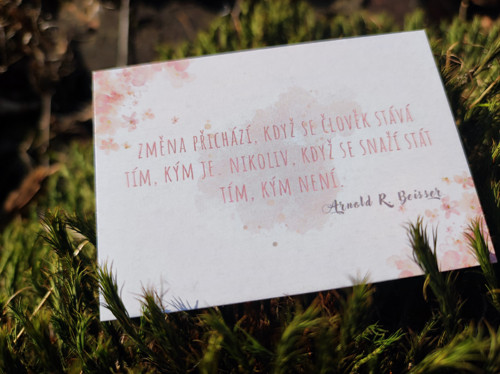Život jednoDUŠE (kartičky) — foto 5