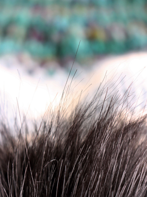 Čapule chunky merino/alpaka "Arktida" — foto 6