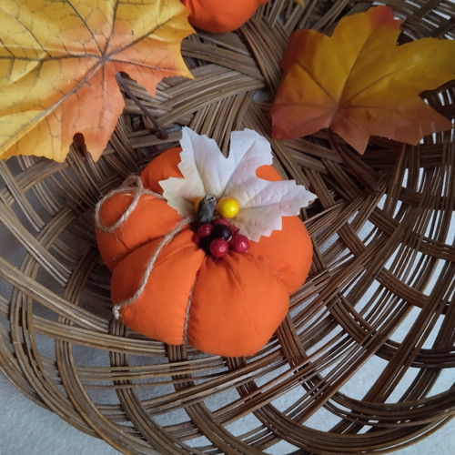 Mini dýně — foto 3