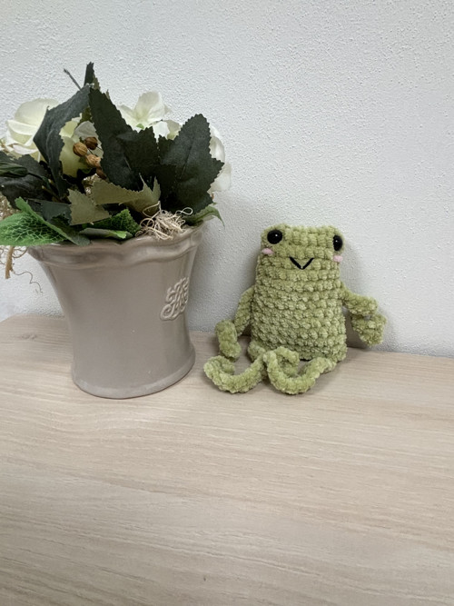 Háčkovaná žabička — foto 4