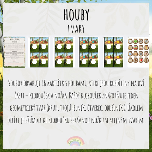 Houby, tvary — foto 2