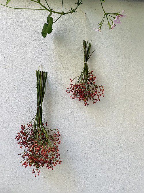 Kytička šípková — foto 3