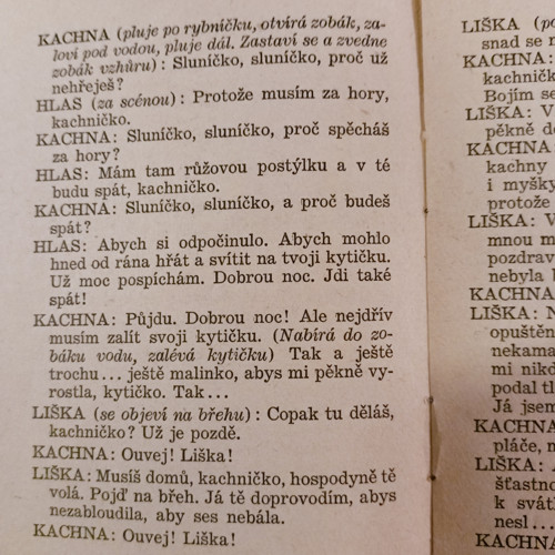Divadélko 41 - Kachna a liška — foto 3