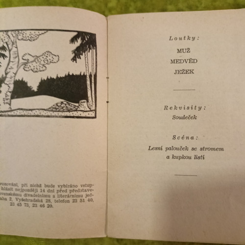 Divadélko 53 - Soudeček medu — foto 3