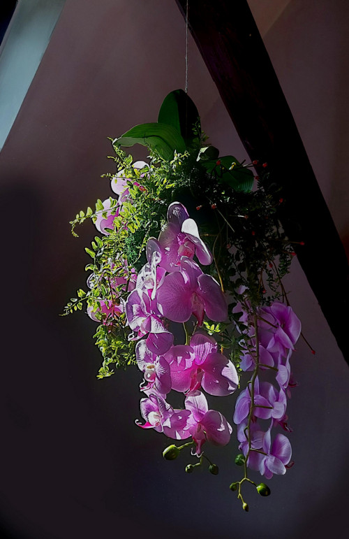 Kokedama s umělými orchidejemi — foto 6