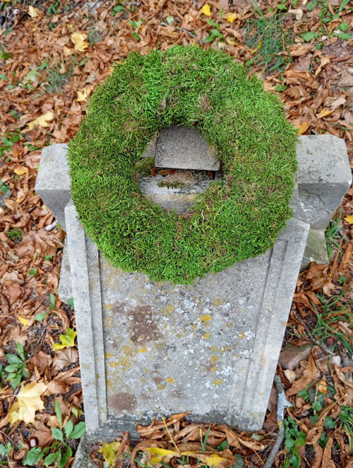 Věnec Pařez — foto 3
