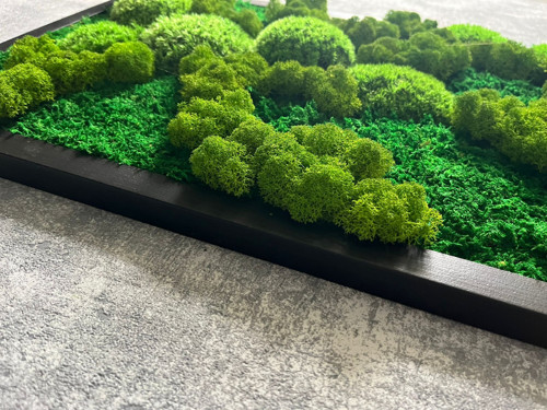 Mechový obraz 80x35cm — foto 4