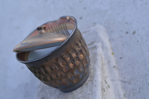 Gaiwan ohňový — foto 2