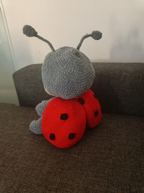 Háčkovaná beruška — foto 3