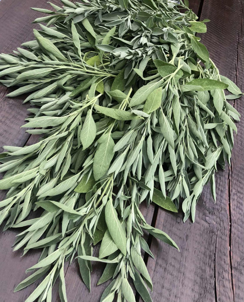 Sirup Šalvěj — foto 3