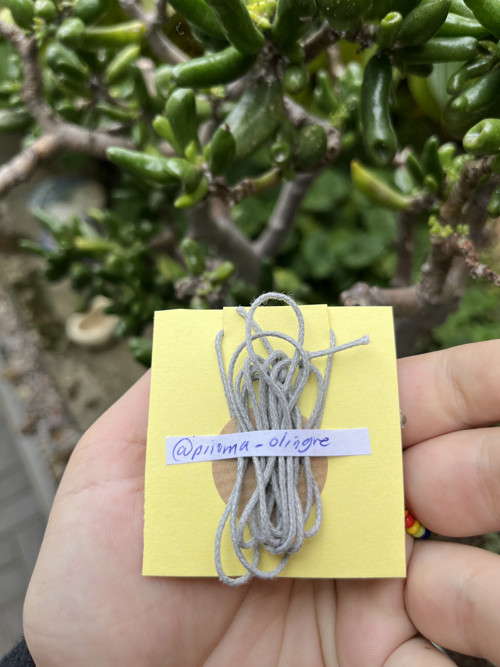 Náhrdelník udivený kočičák — foto 2
