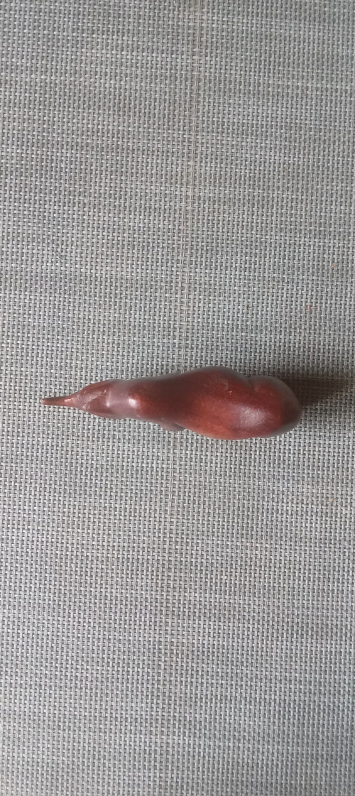 Dřevěný nosorožec — foto 2