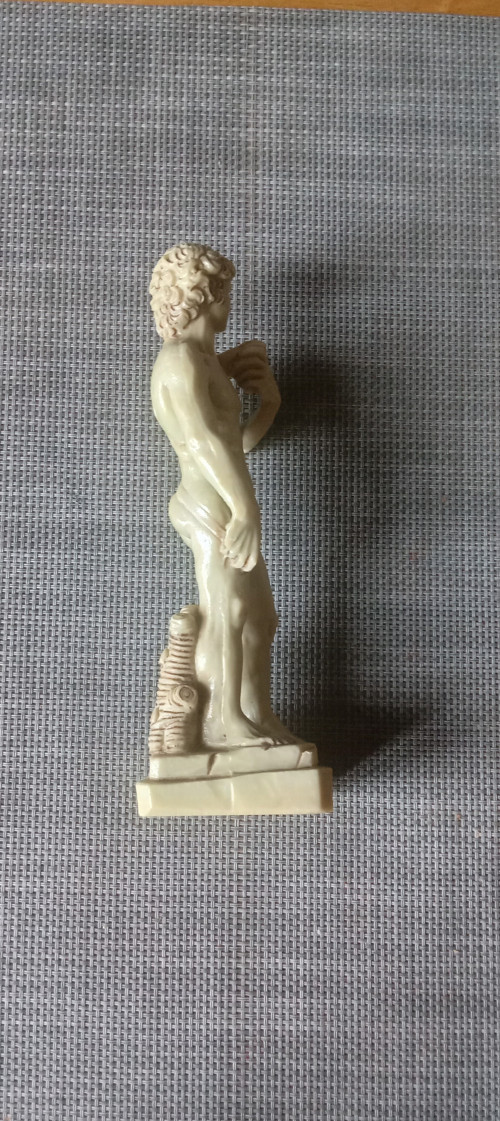 Socha David Italie — foto 3